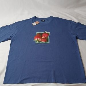 Stussy Blue Tee with Strawberry Graphic